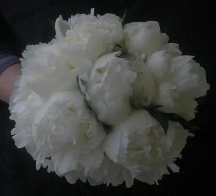Peony Brides Bouquet  