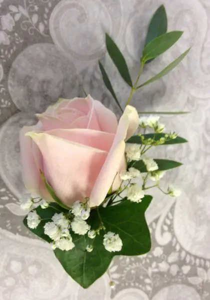 Grooms Pink Rose Buttonhole
