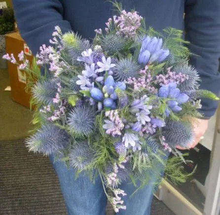 Blue Thistle Bouquet with Black watch Tartan