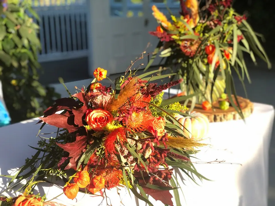 Autumn Tones and Textures at Palm House