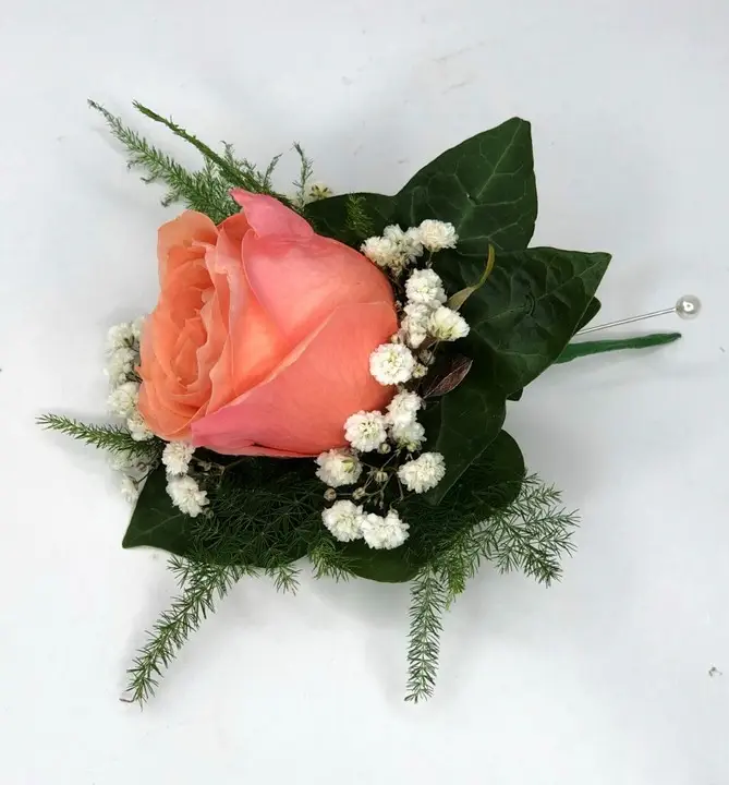 Grooms Buttonhole Peach Rose and Gypsophila