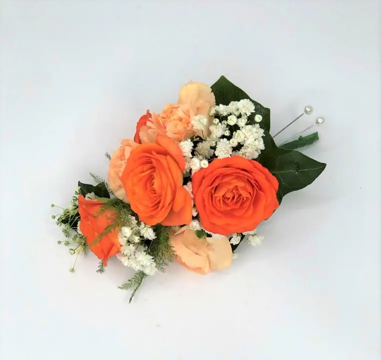 Orange / Coral