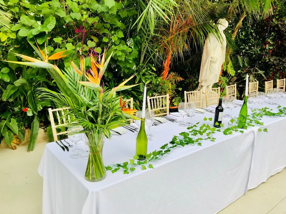 Tropical Bird of Paradise Vase on Top Table at Palm House