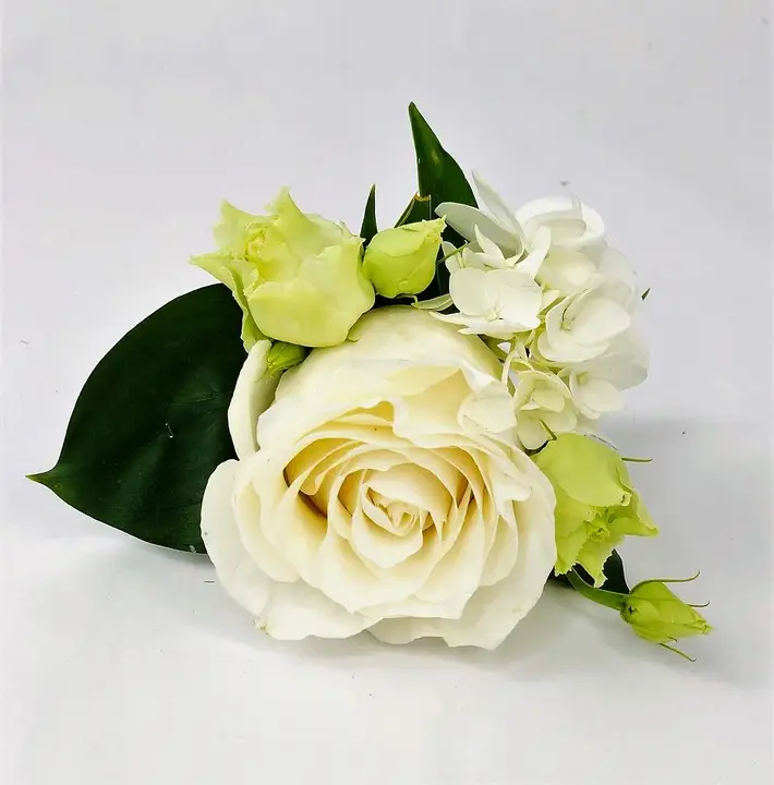 White Rose Hydrangea and Lisianthus Boutonniere