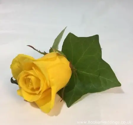 Classic yellow rose buttonhole for wedding party