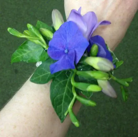 Purple Hydrangea and Freesia Wrist Corsage