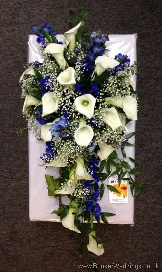 Bridal teardrop shower bouquet featuring white calla lillies, blue delphinium and gypsy grass