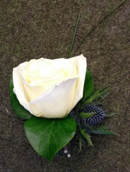 Rose and Eryngium Grooms Buttonhole