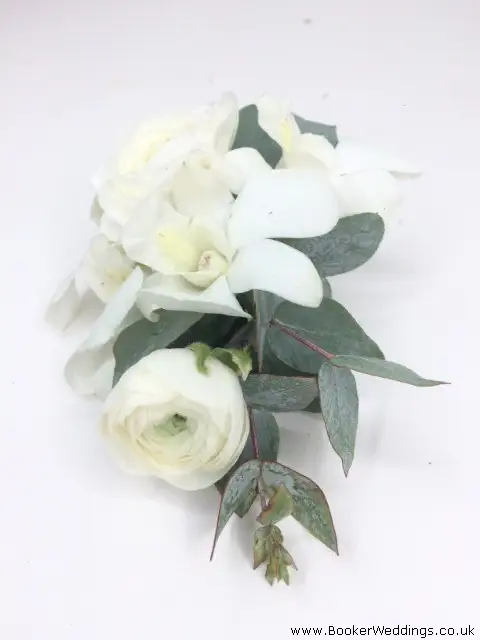 White Ranunculus and Orchid Pin Corsage