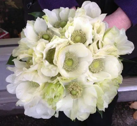 White Anenome Bridesmaid Bouquet