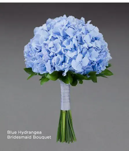 Modern Blue Hydrangea Bridal Bouquet Vera Wang