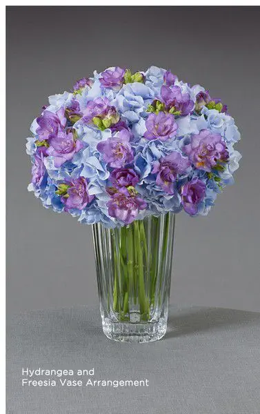 Modern Blue Hydrangea and Freesia Vase Arrangement Vera Wang
