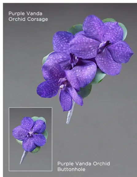 Modern Purple Vanda Corsage Buttonhole Vera Wang