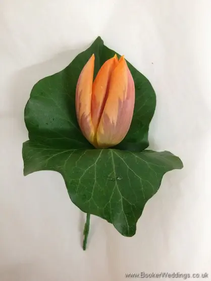 Orange Tulip Buttonhole