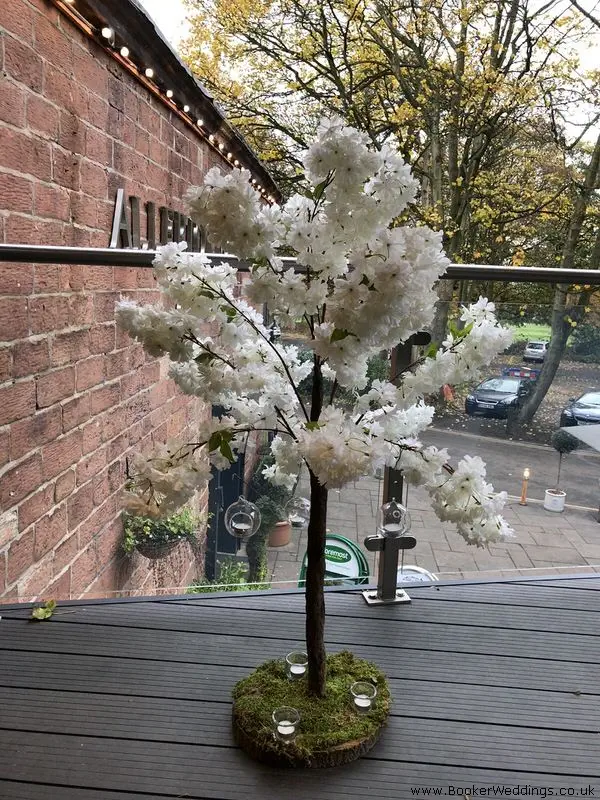 White Blosson Trees for Wedding at Allerton Manor