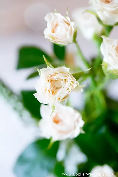 Wedding photo shoot at Allerton Manor, featuring flowers from Booker Weddings, Liverpool Florists6